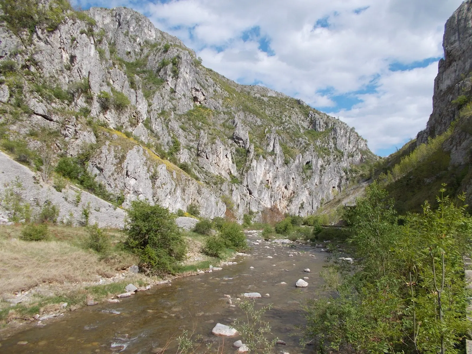 Pereți de calcar și râu în Cheile Sohodolului